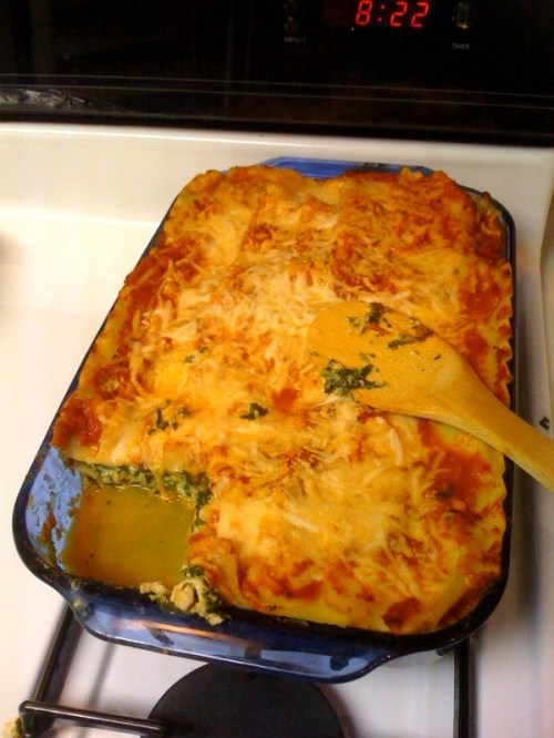 Lasagna_dish