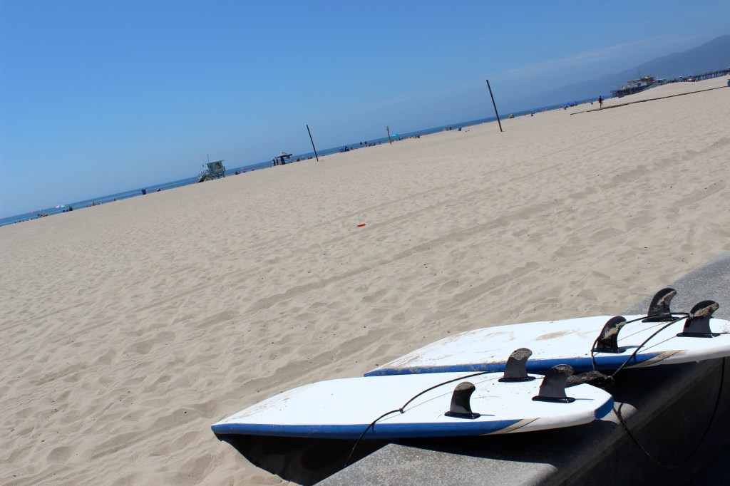 Venice Beach, Surfing, California