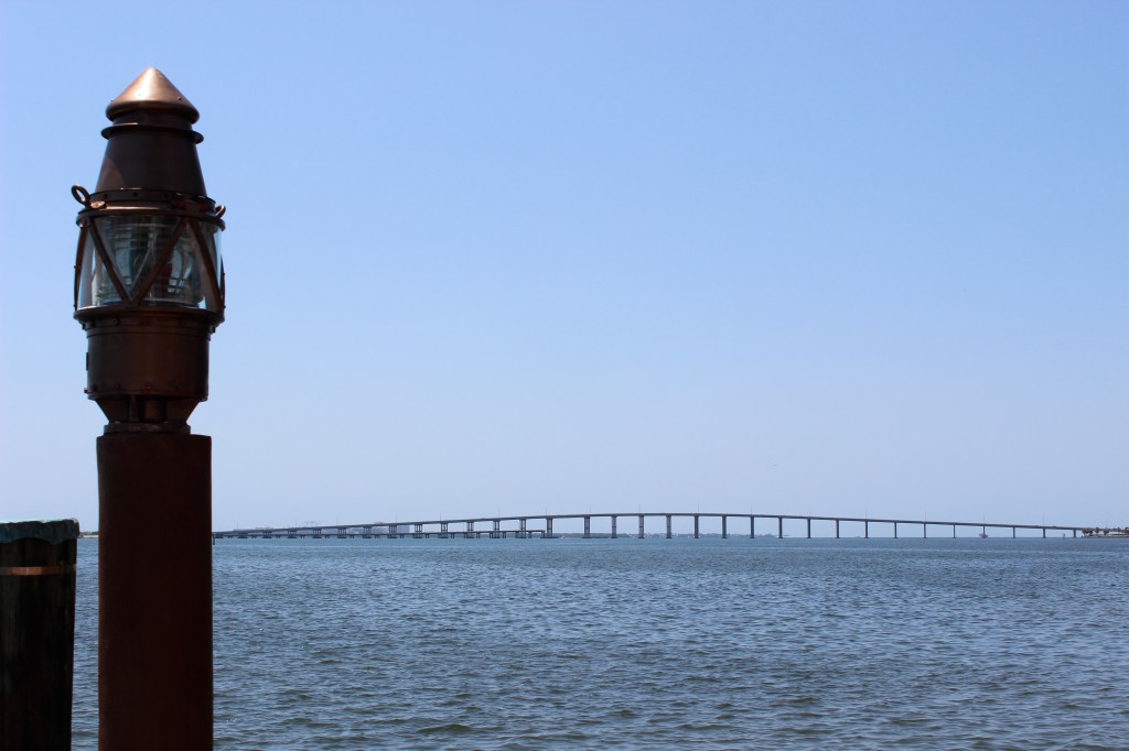 A marina in Miami - great for people watching and dreaming about living on the ocean. 