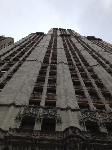 Look up. Always look up. 