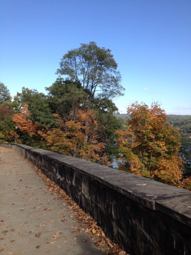 The colors of the fall in the hills of New York would make any summer baby fall in love. 