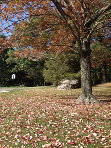 West Point's campus in the fall is a picture of perfection. 