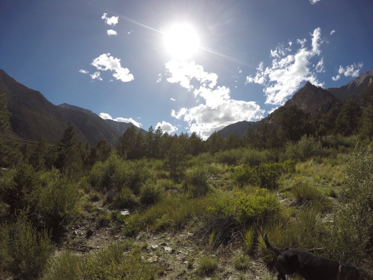 DCIM100GOPROGOPR0466.