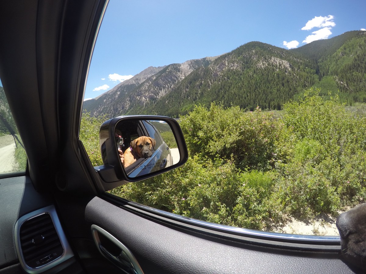 DCIM100GOPROGOPR0491.