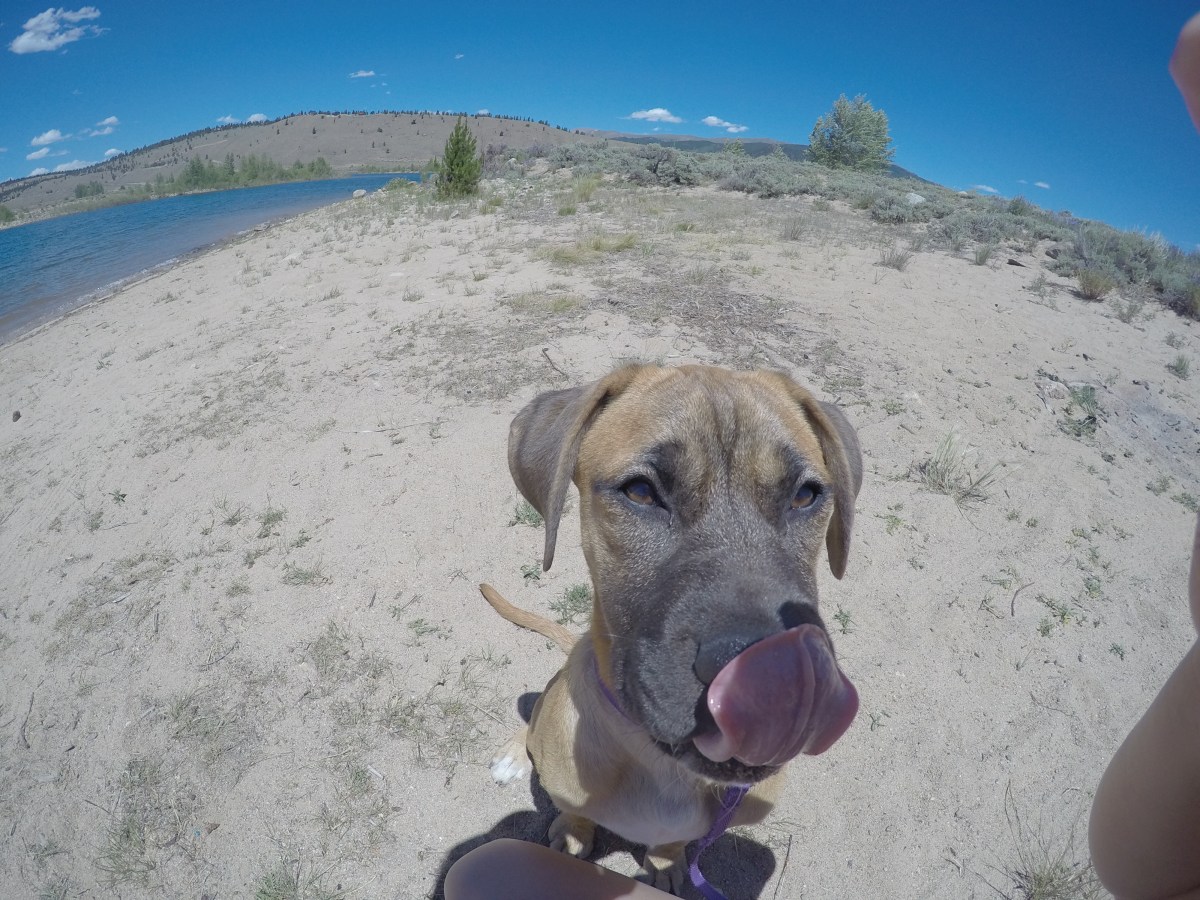 DCIM100GOPROGOPR0497.