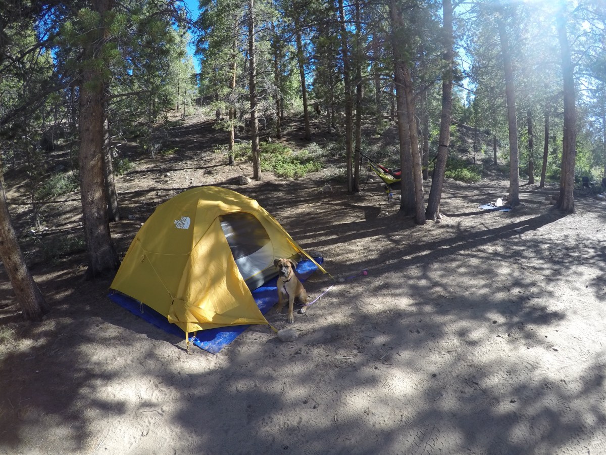 DCIM100GOPROGOPR0501.