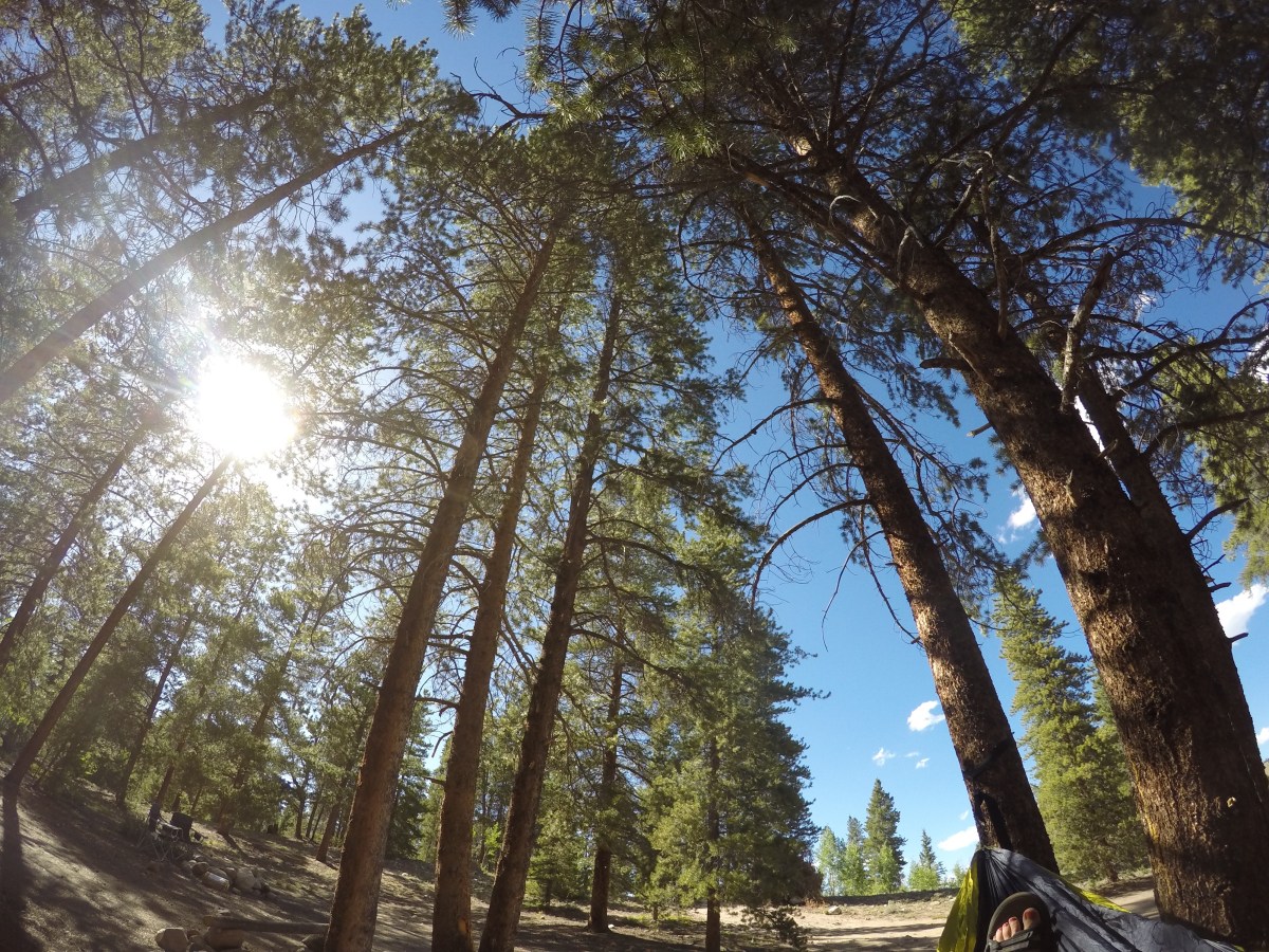 DCIM100GOPROGOPR0503.