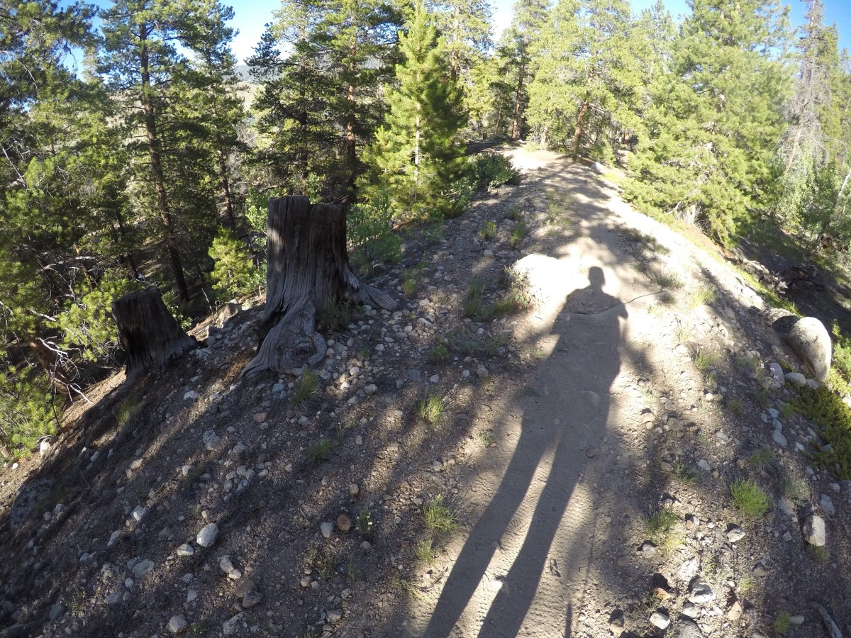 DCIM100GOPROGOPR0508.