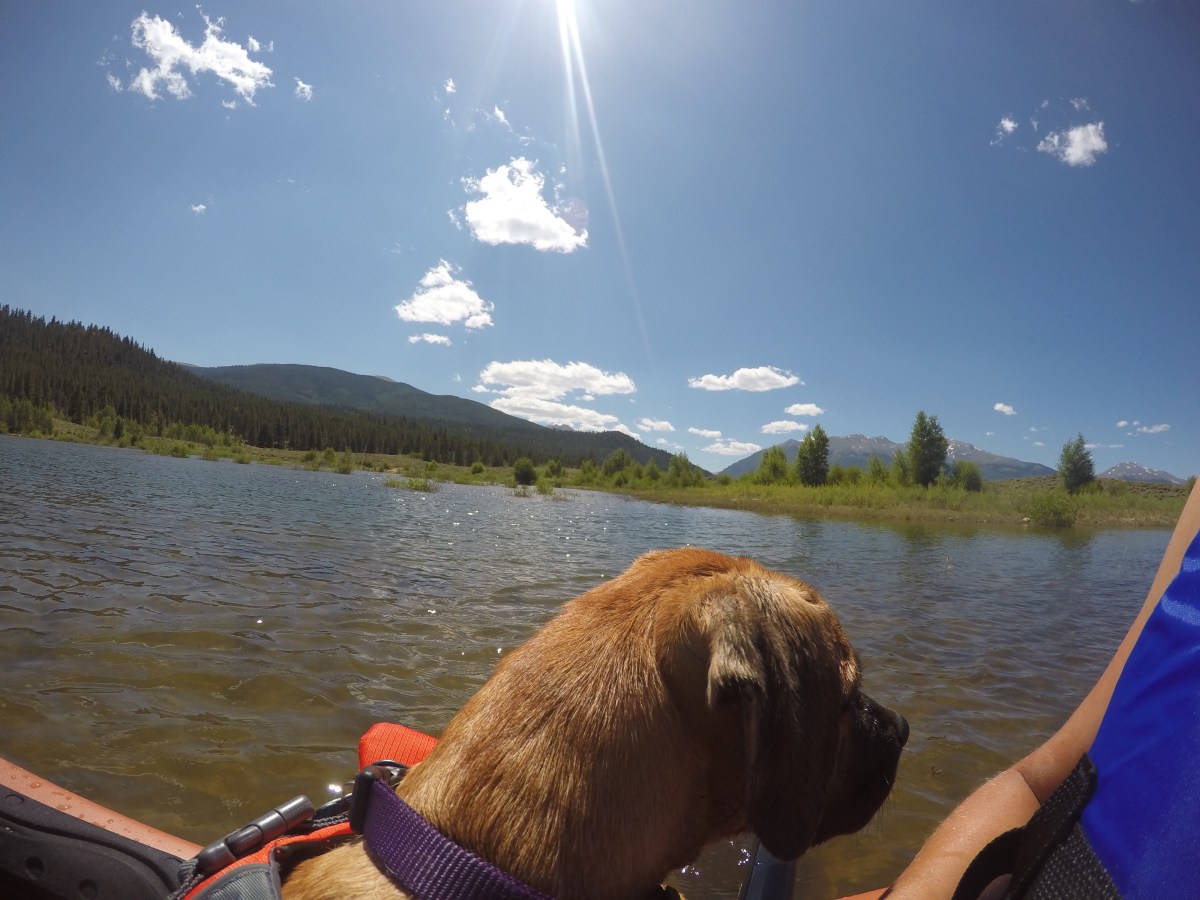 DCIM100GOPROGOPR0515.