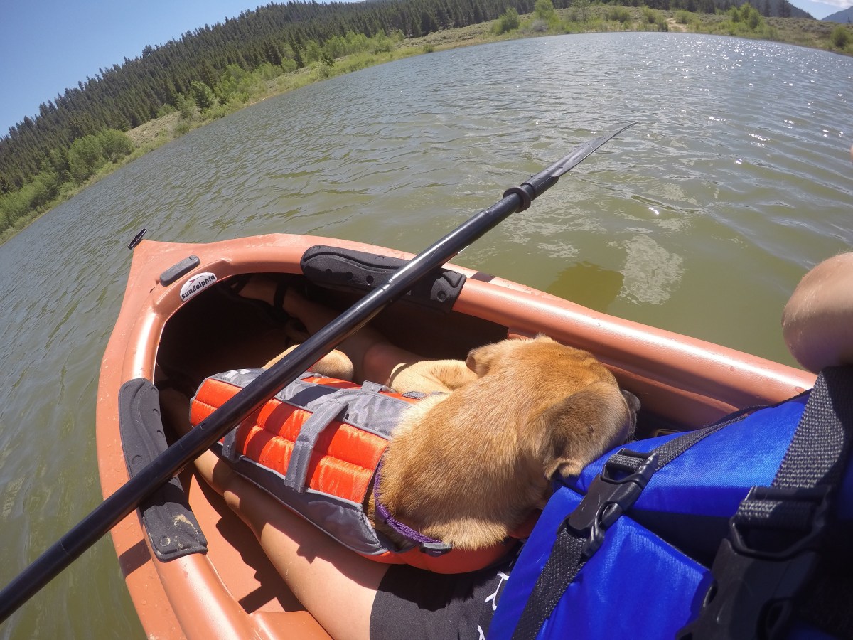 DCIM100GOPROGOPR0523.