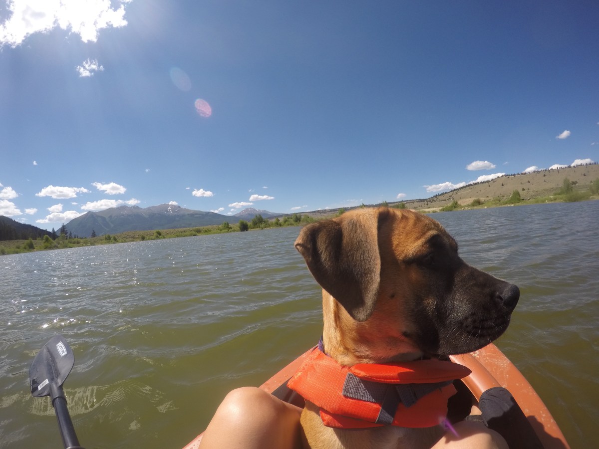 DCIM100GOPROGOPR0528.