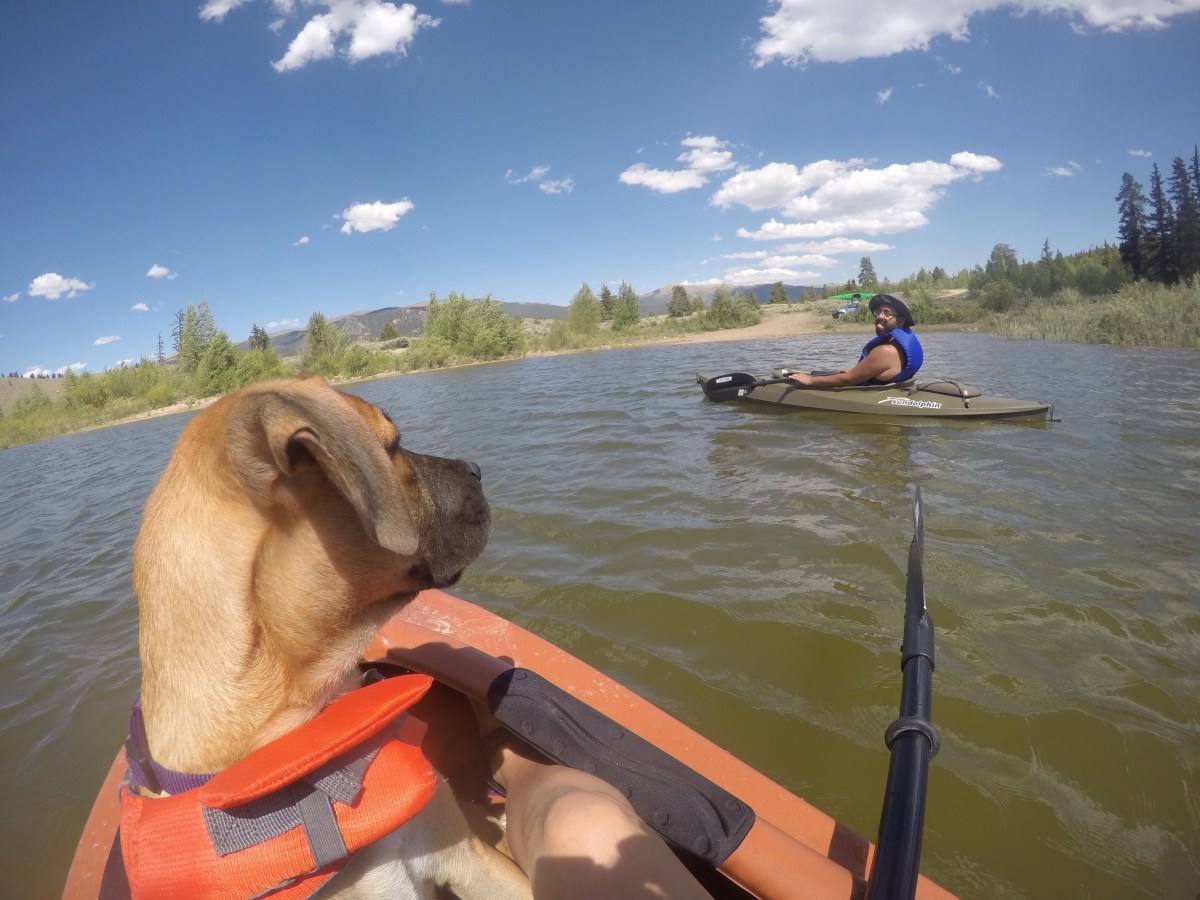 DCIM100GOPROGOPR0531.