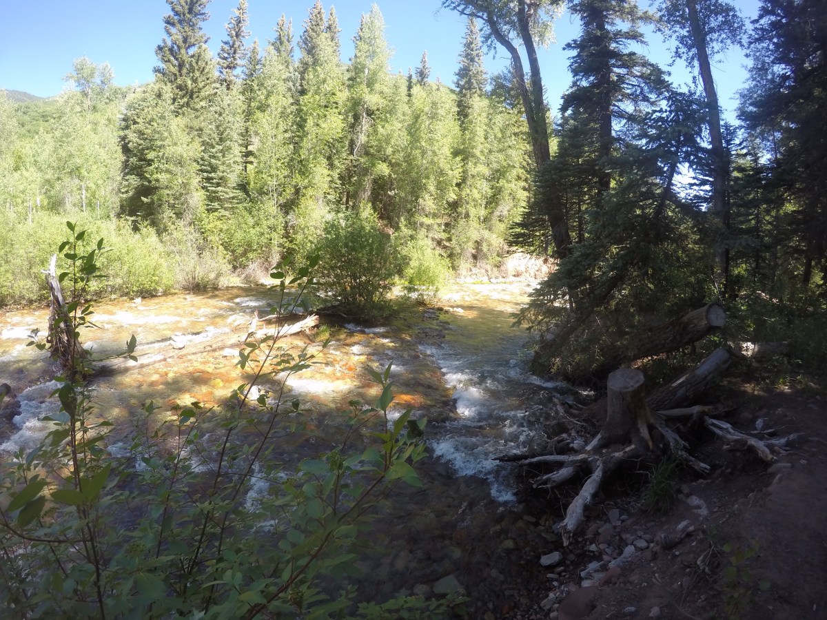 DCIM100GOPROGOPR0537.