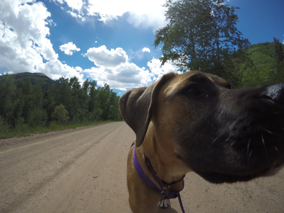 DCIM100GOPROGOPR0551.