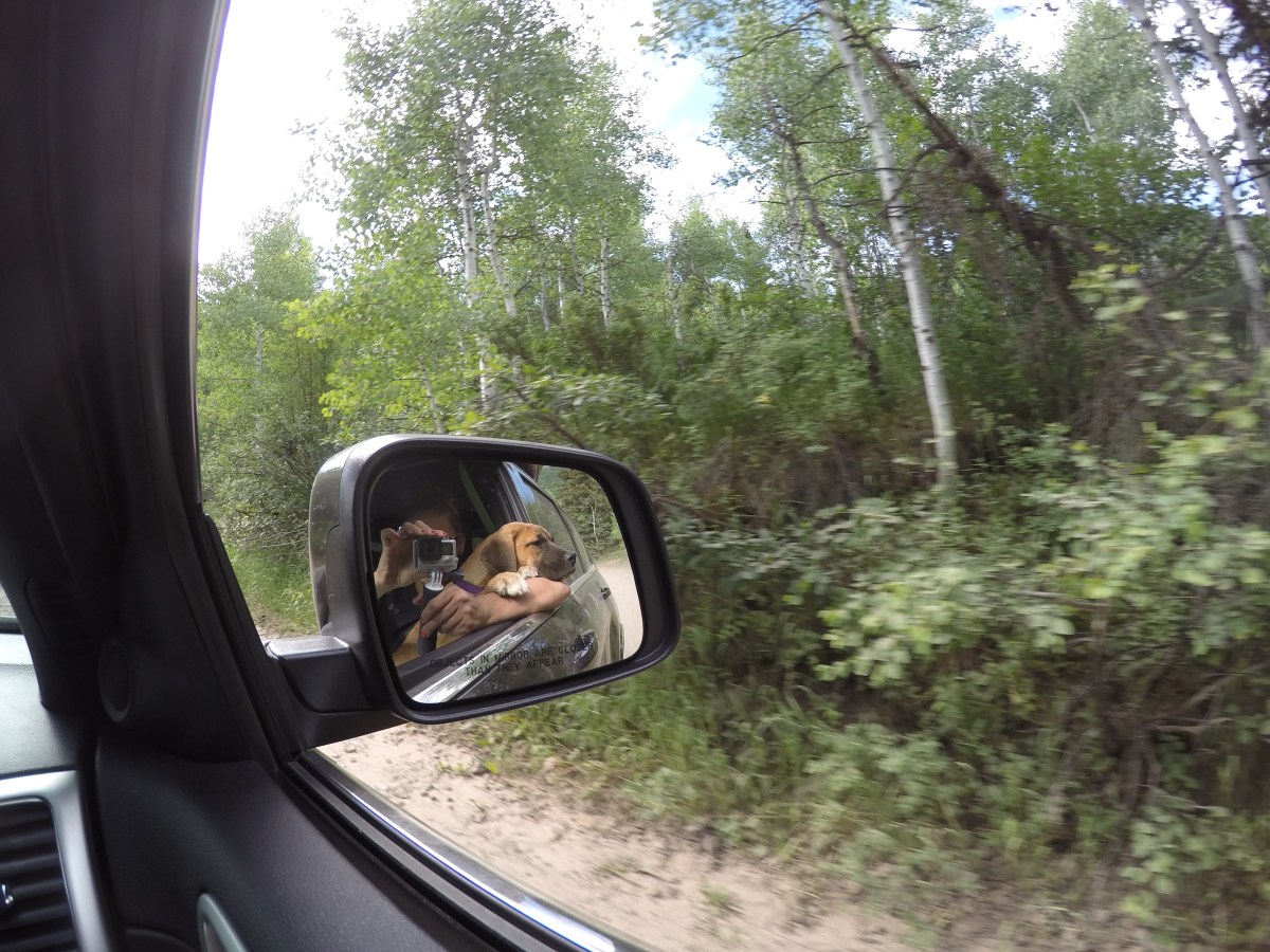 DCIM100GOPROGOPR0563.